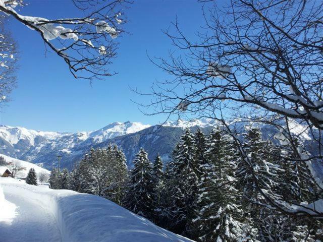 Chalet Bergheimet Hotell Braunwald Exteriör bild